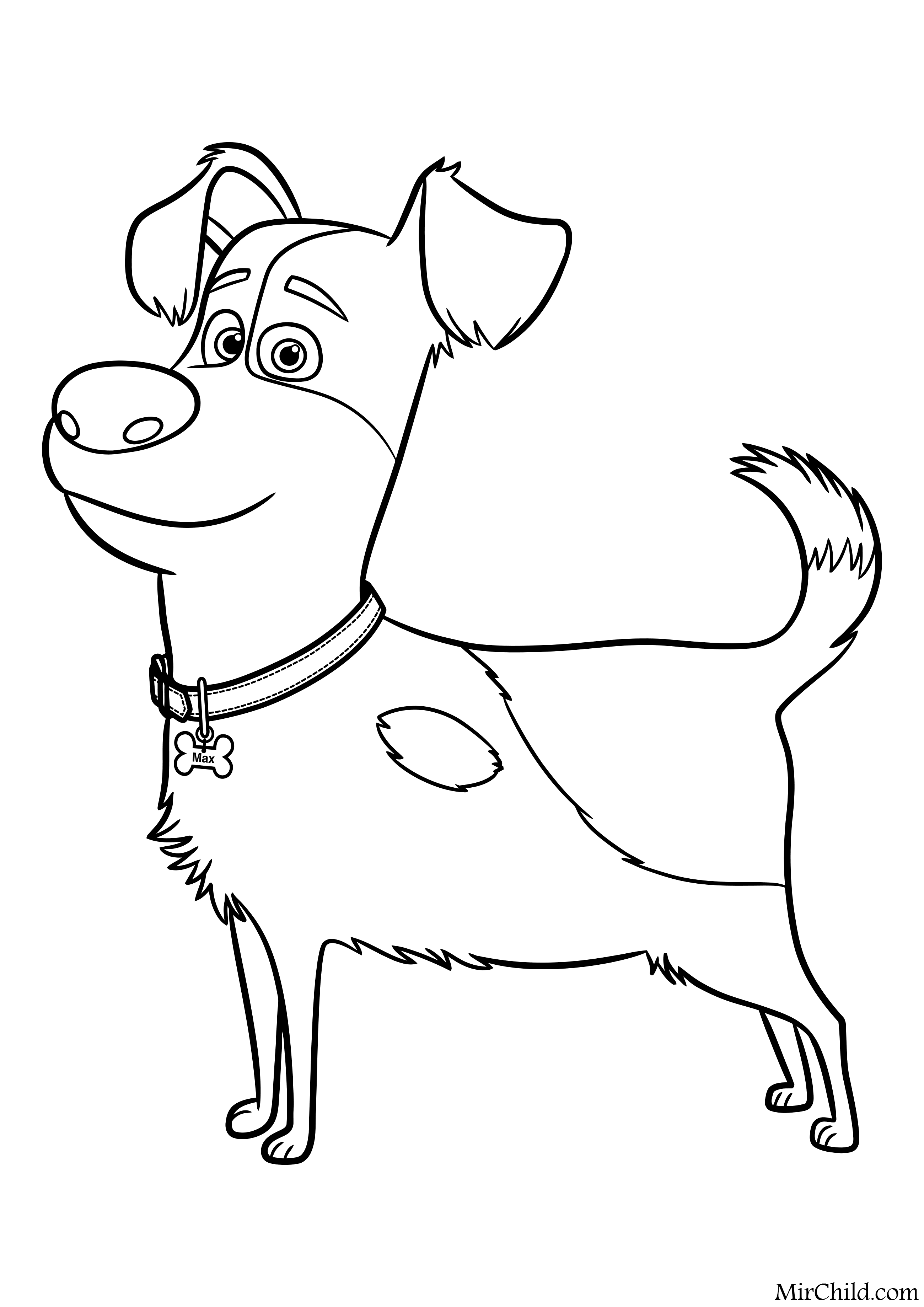 Wiener Dog Coloring Pages Secret Life Of Pets Coloring Pages