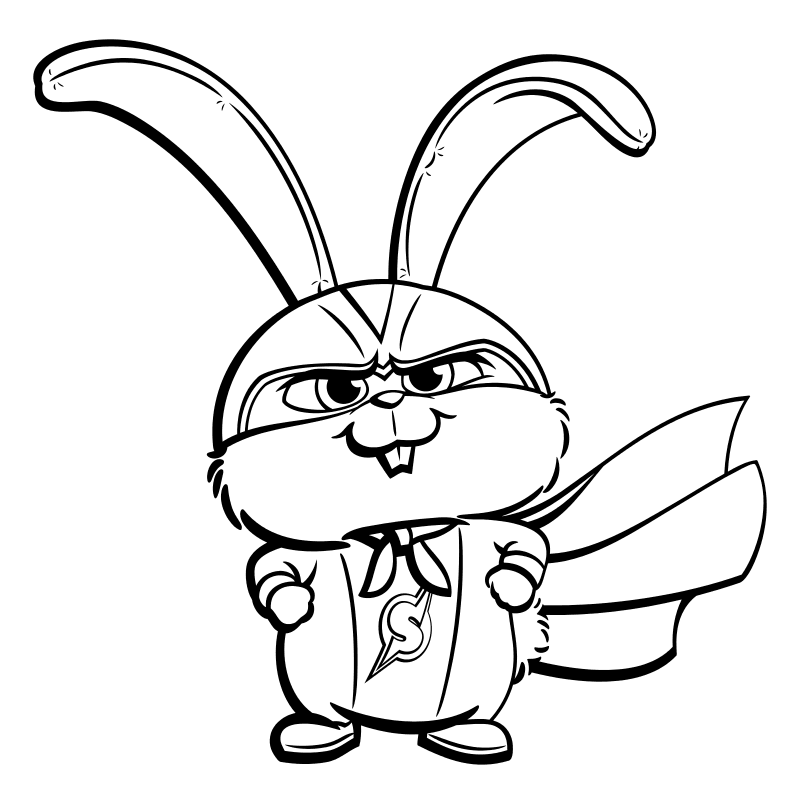 Раскраска - Тайная жизнь домашних животных 2 - Капитан Снежок | MirChild